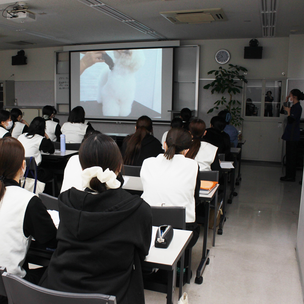 トリミングの基礎を学ぶ講義♪